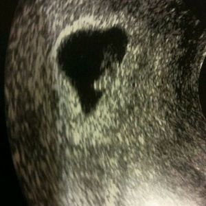 Meet your Posher, Ruth